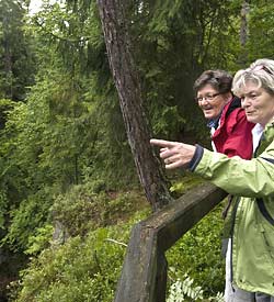 Wanderer mit Blick auf die Alte Eisenbahn